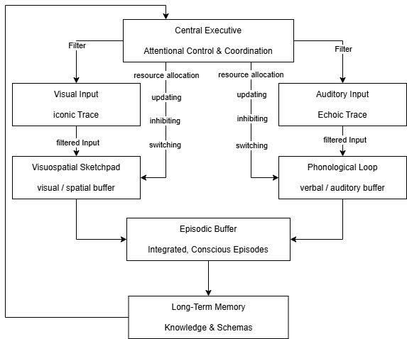 Baddeley multicomponent working-memory architecture