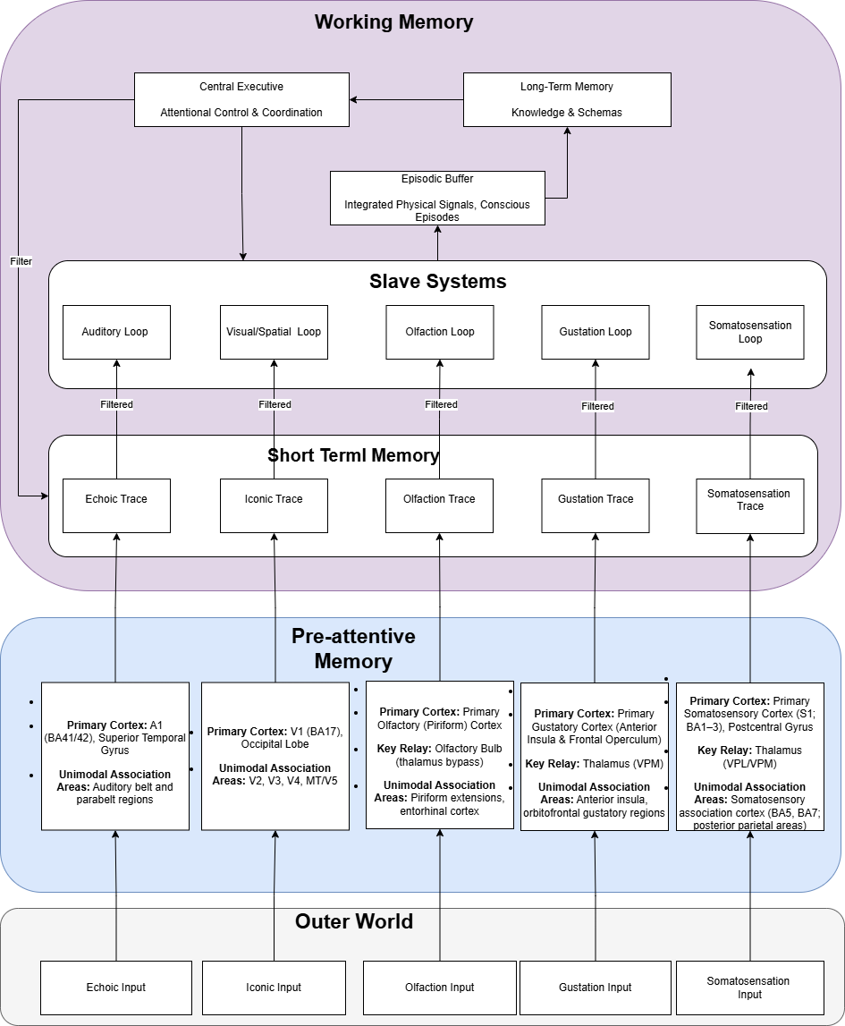 Musical working-memory architecture following Baddeley’s principles